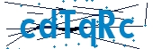 recaptcha