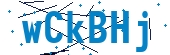 recaptcha
