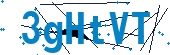 recaptcha